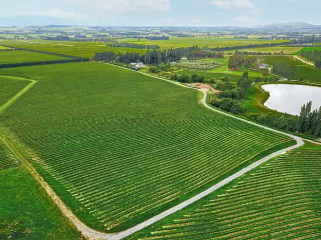 Lot 3 Willow Lane, Martinborough