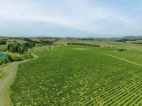 Lot 3 Willow Lane, Martinborough