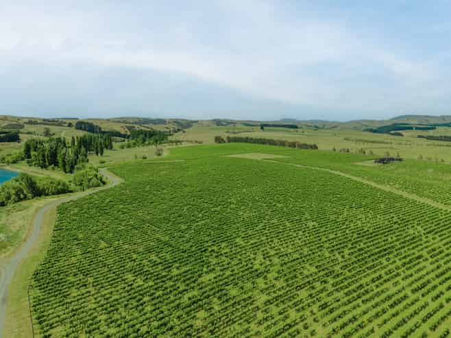 Lot 3 Willow Lane, Martinborough