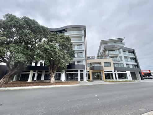 302/100 Beachcroft Avenue, Onehunga