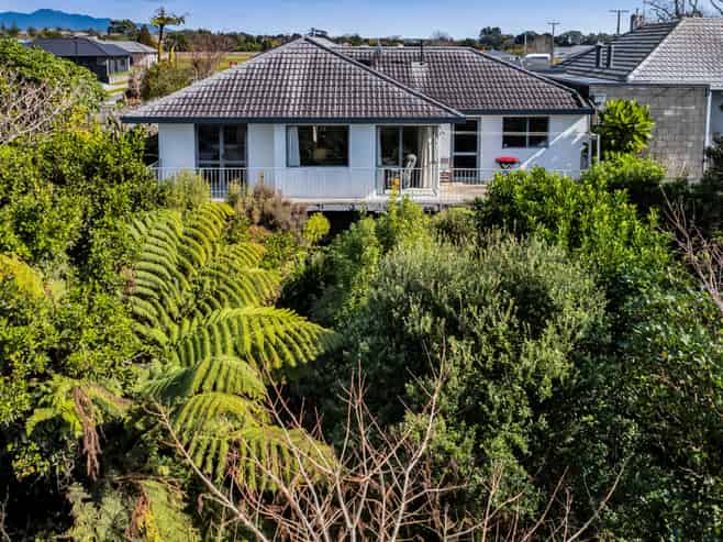 217 Carrington Street, Vogeltown
