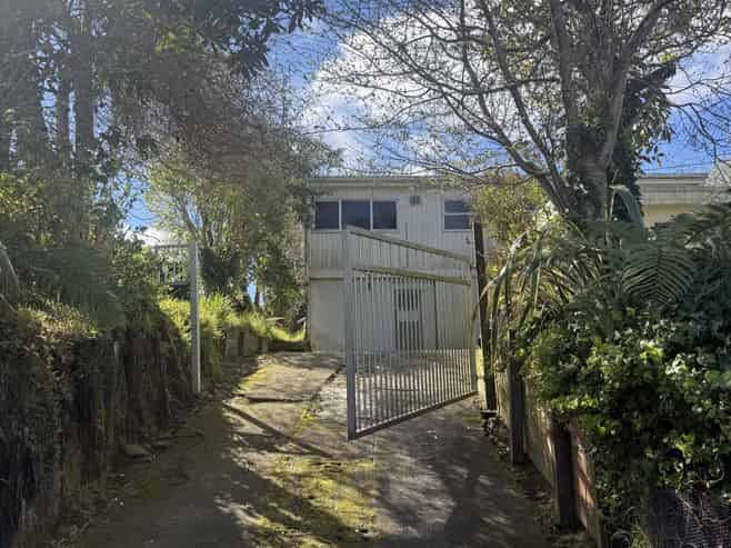41 Thomas Crescent, Western Heights