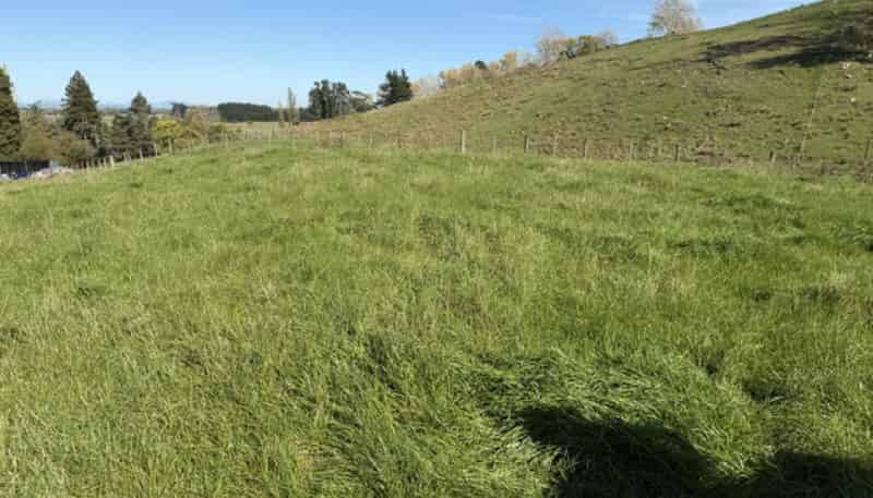 235 Te Ore Ore-Bideford Road, Masterton