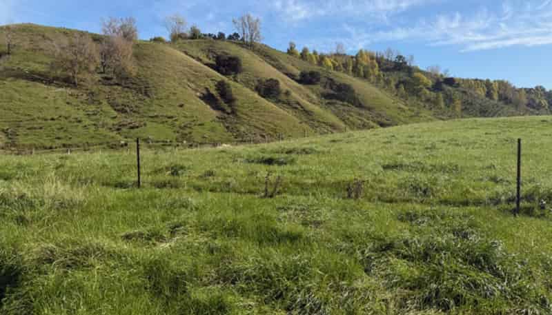 235 Te Ore Ore-Bideford Road, Masterton