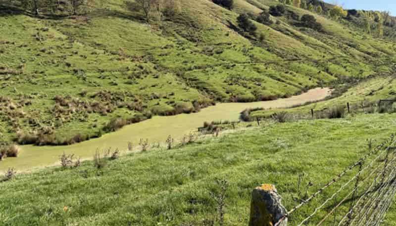 235 Te Ore Ore-Bideford Road, Masterton