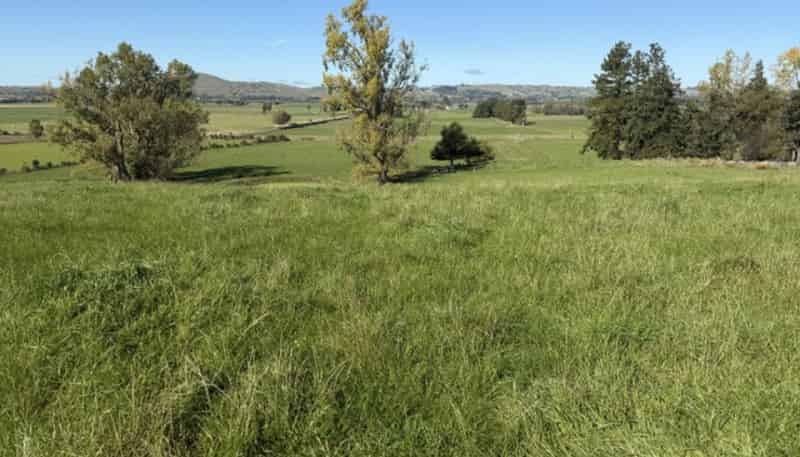 235 Te Ore Ore-Bideford Road, Masterton
