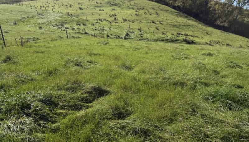 235 Te Ore Ore-Bideford Road, Masterton