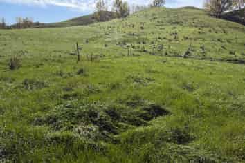235 Te Ore Ore-Bideford Road, Masterton