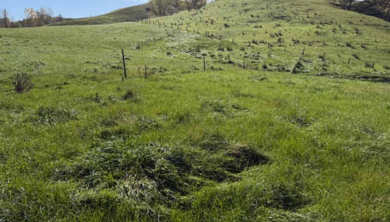 235 Te Ore Ore-Bideford Road, Masterton
