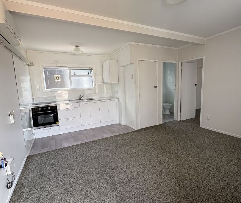 Spacious One-Bedroom unit for rent - Prime central location 4