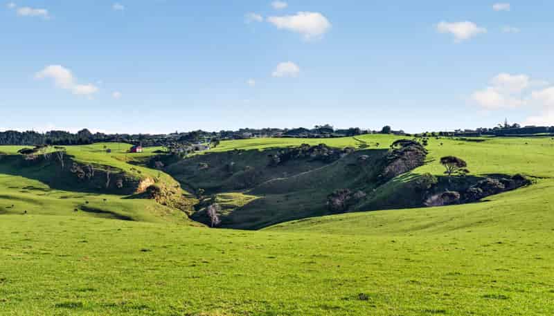 55 Coster Road, Muriwai