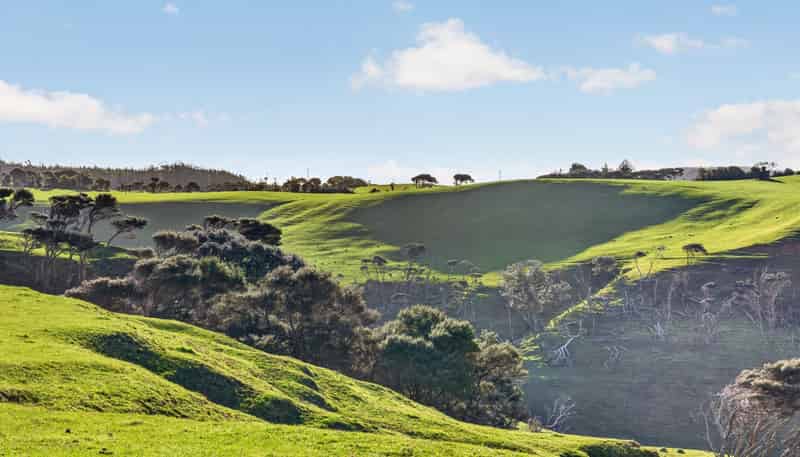 55 Coster Road, Muriwai
