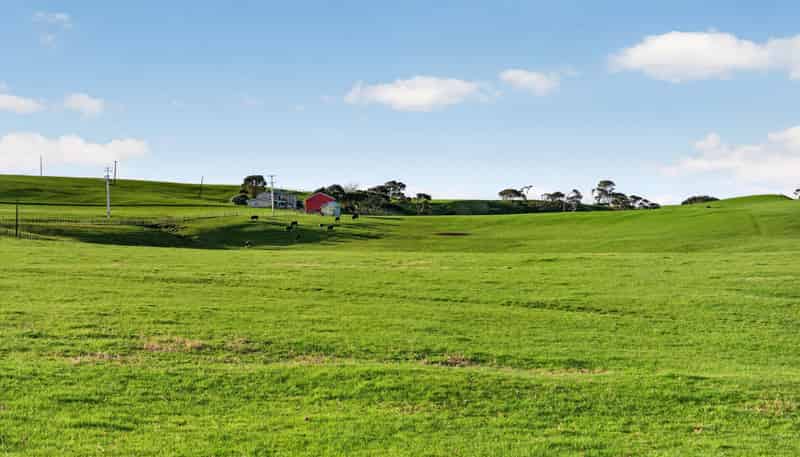 55 Coster Road, Muriwai