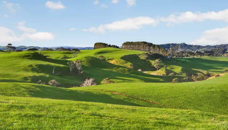 55 Coster Road, Muriwai