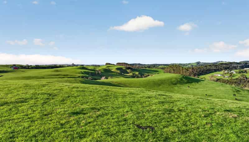 55 Coster Road, Muriwai
