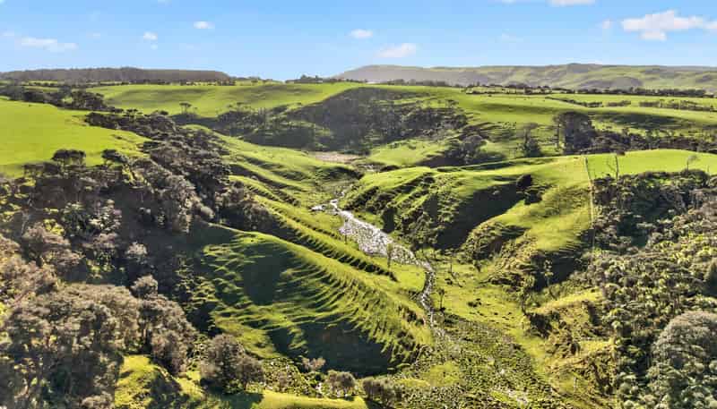 55 Coster Road, Muriwai