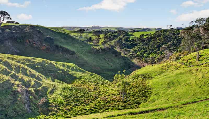 55 Coster Road, Muriwai