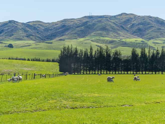 554 Waikari Valley Road, Scargill