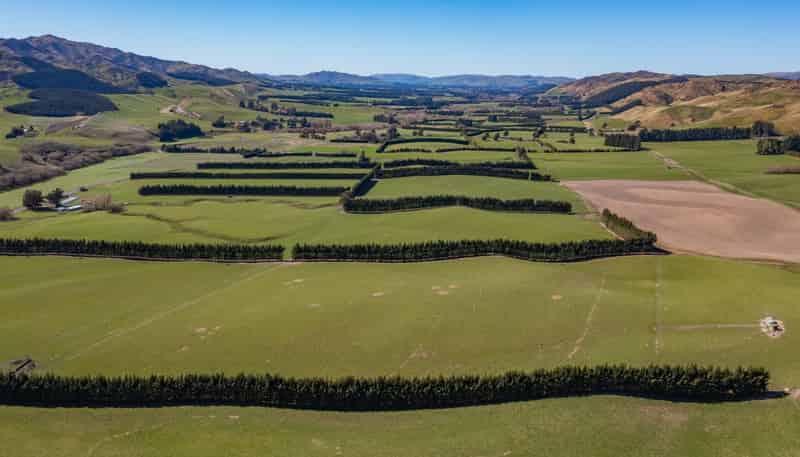 554 Waikari Valley Road, Scargill