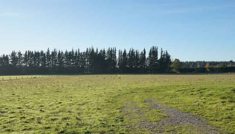 185 McIntoshs Road, Fernside