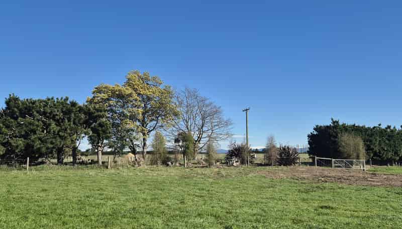 185 McIntoshs Road, Fernside