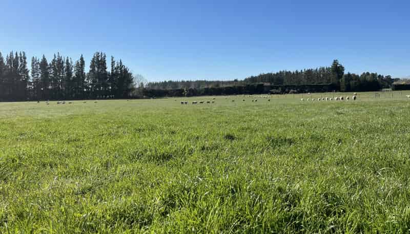 185 McIntoshs Road, Fernside