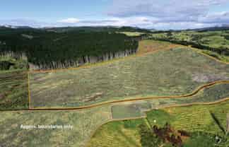  Kaitaia-Awaroa Road, Herekino