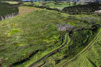  Kaitaia-Awaroa Road, Herekino