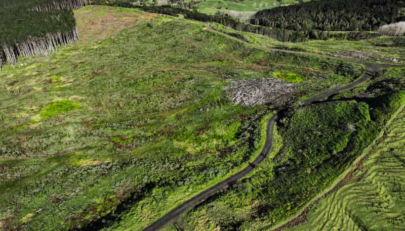  Kaitaia-Awaroa Road, Herekino