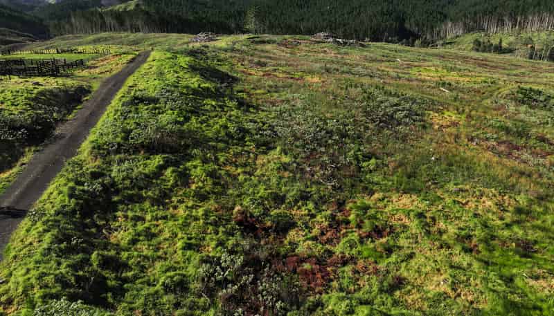  Kaitaia-Awaroa Road, Herekino