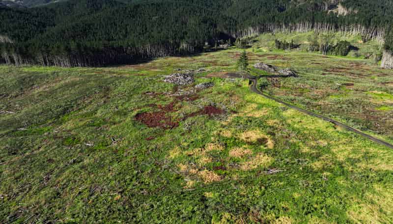  Kaitaia-Awaroa Road, Herekino