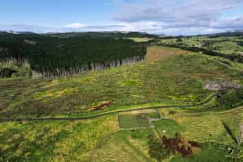  Kaitaia-Awaroa Road, Herekino