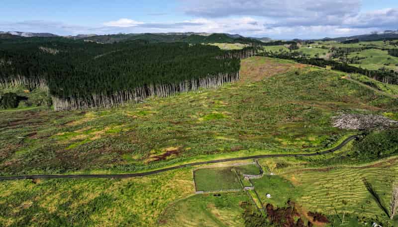  Kaitaia-Awaroa Road, Herekino