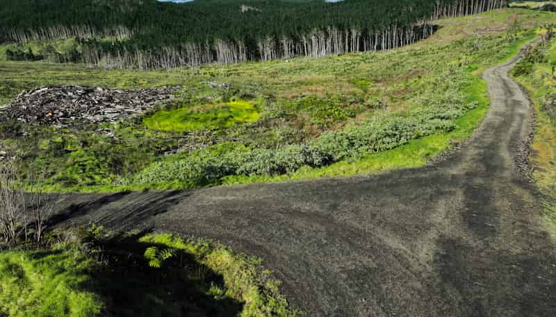  Kaitaia-Awaroa Road, Herekino