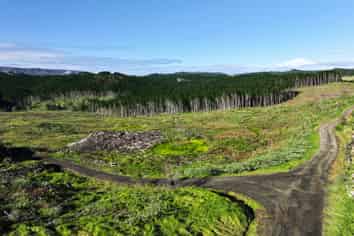  Kaitaia-Awaroa Road, Herekino