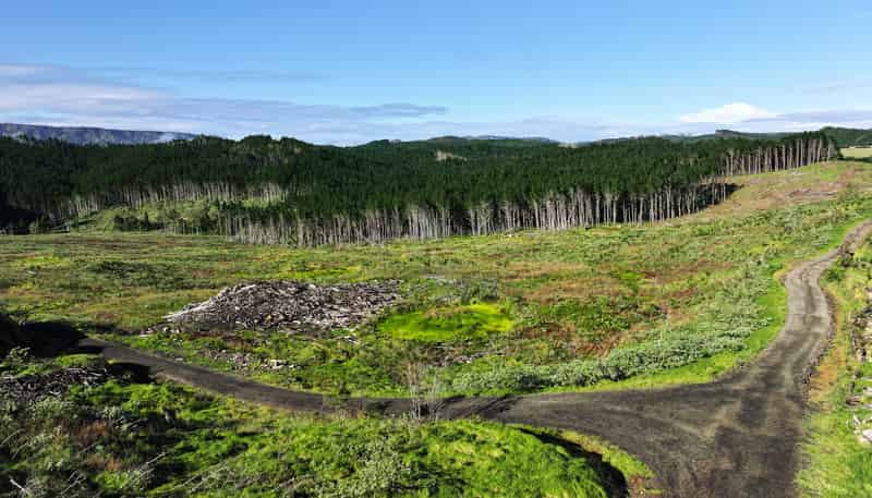  Kaitaia-Awaroa Road, Herekino