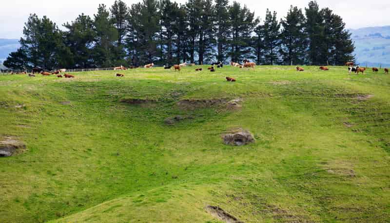 165 Lower Flag Range Road, Sherenden