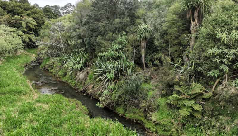 Lot 1 and  Union Road (DP137013), Patumahoe