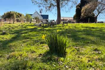 23 Durham Street, Tapanui