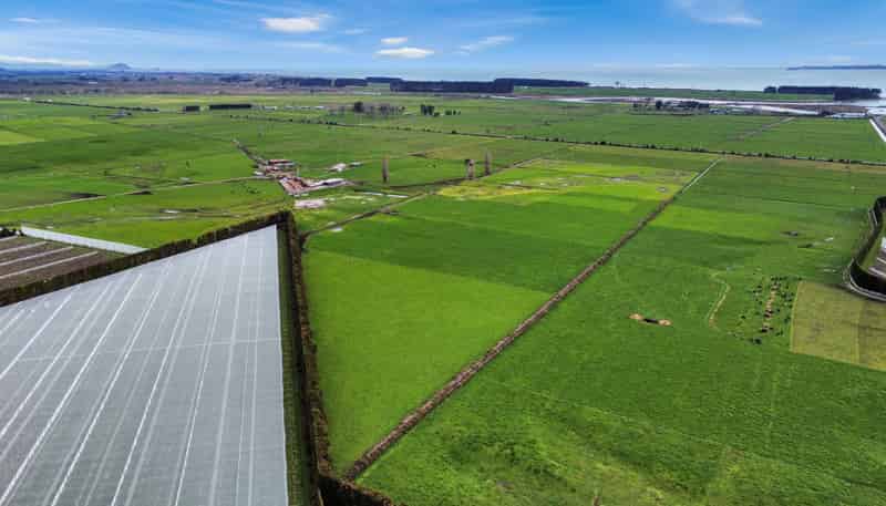 329 Kaituna Road, Paengaroa
