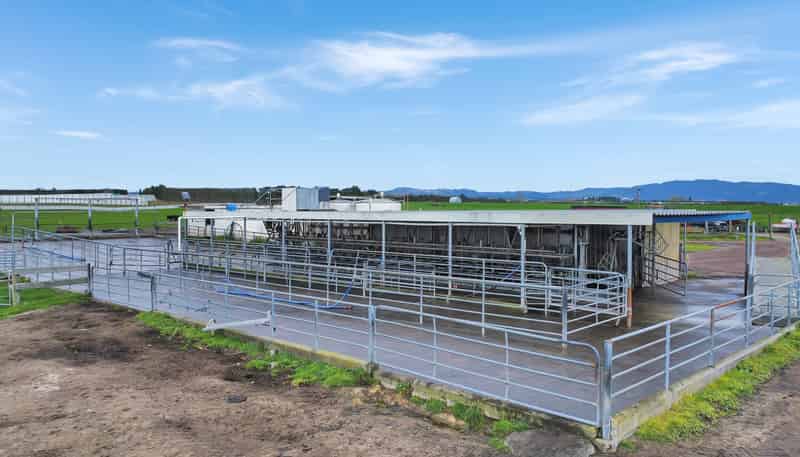 329 Kaituna Road, Paengaroa