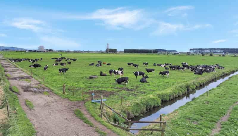 329 Kaituna Road, Paengaroa