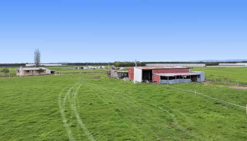 329 Kaituna Road, Paengaroa