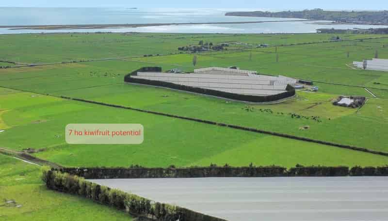 329 Kaituna Road, Paengaroa
