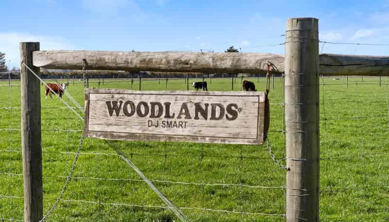 1467 Boundary Road, Ashburton