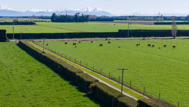1467 Boundary Road, Ashburton