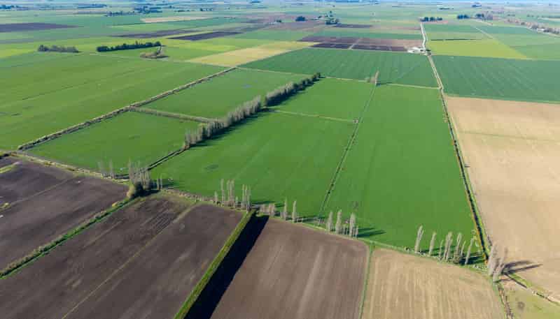 1467 Boundary Road, Ashburton