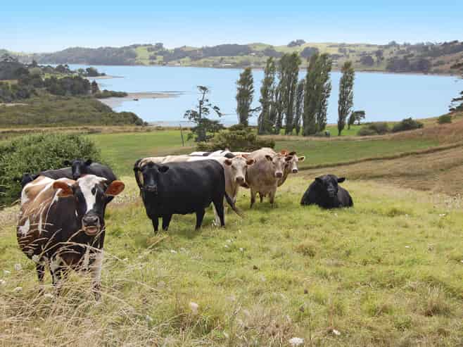 135 Phillips Road, Kaiwaka
