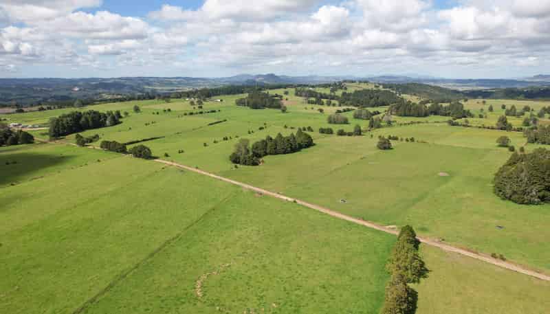 503 Puhipuhi Road, Whakapara