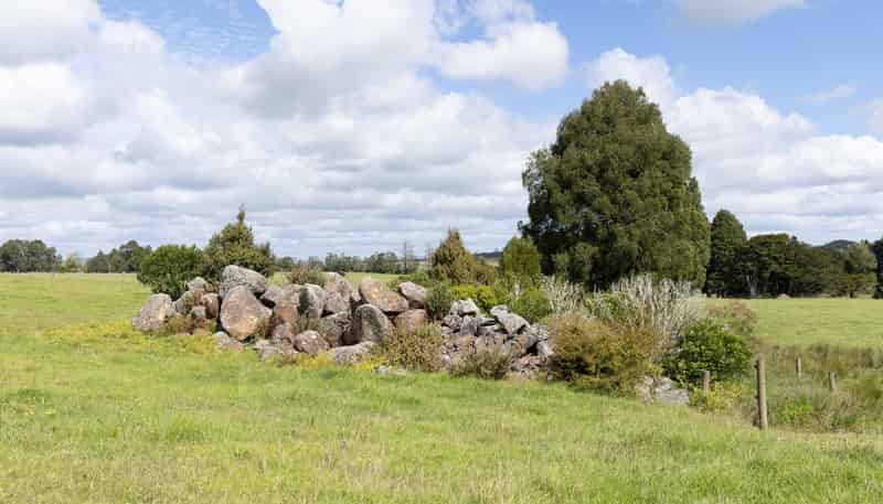 503 Puhipuhi Road, Whakapara